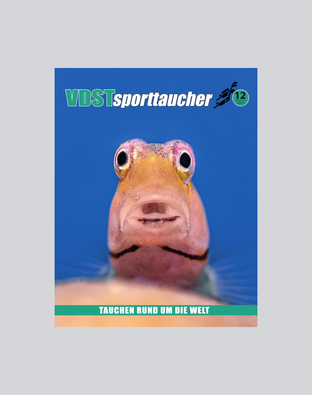 VDSTsporttaucher 2025-12