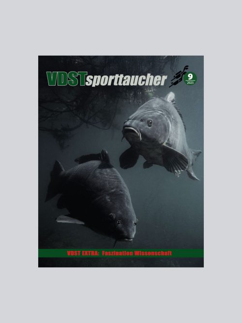 VDSTsporttaucher 2025-9