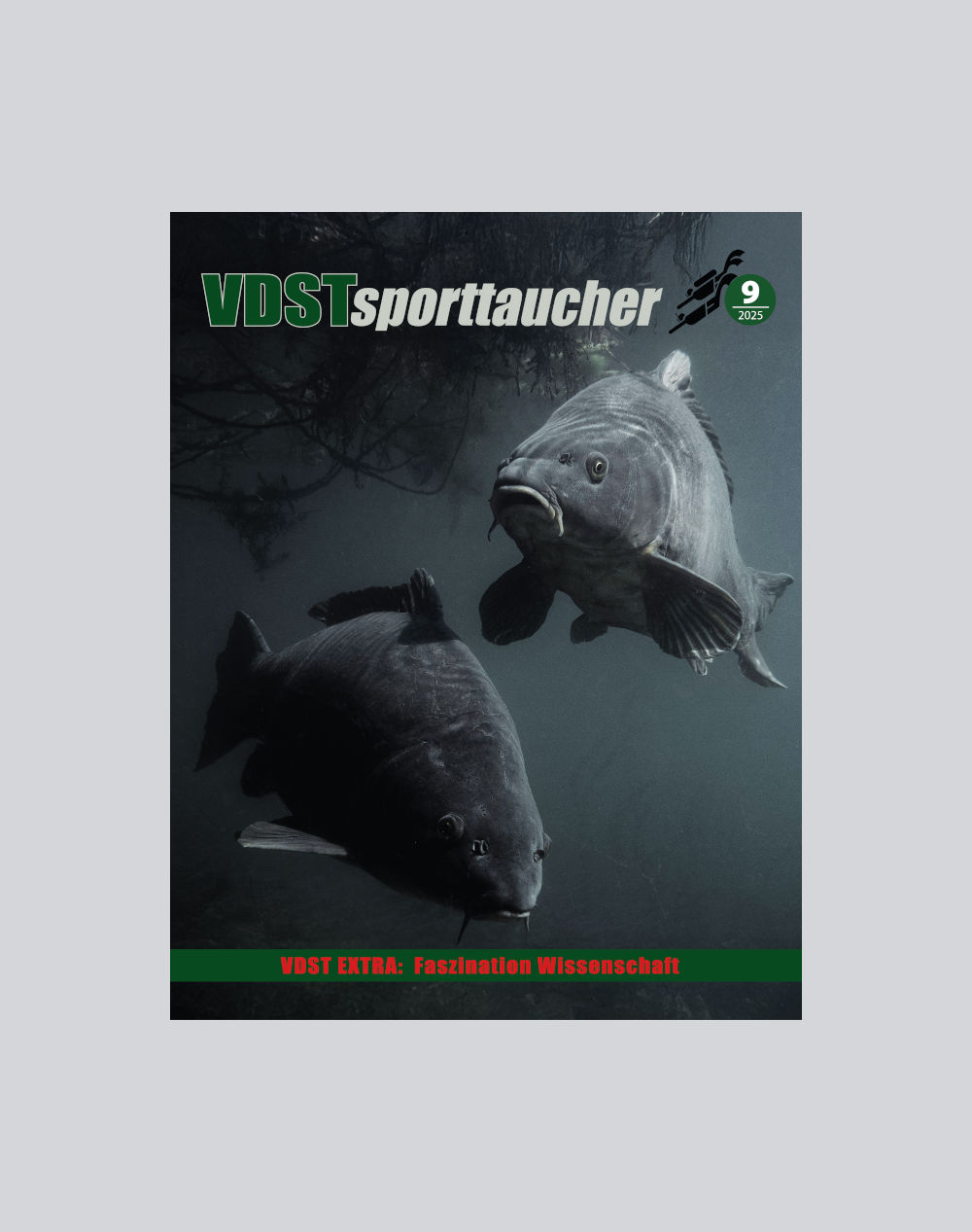 VDSTsporttaucher 2025-9