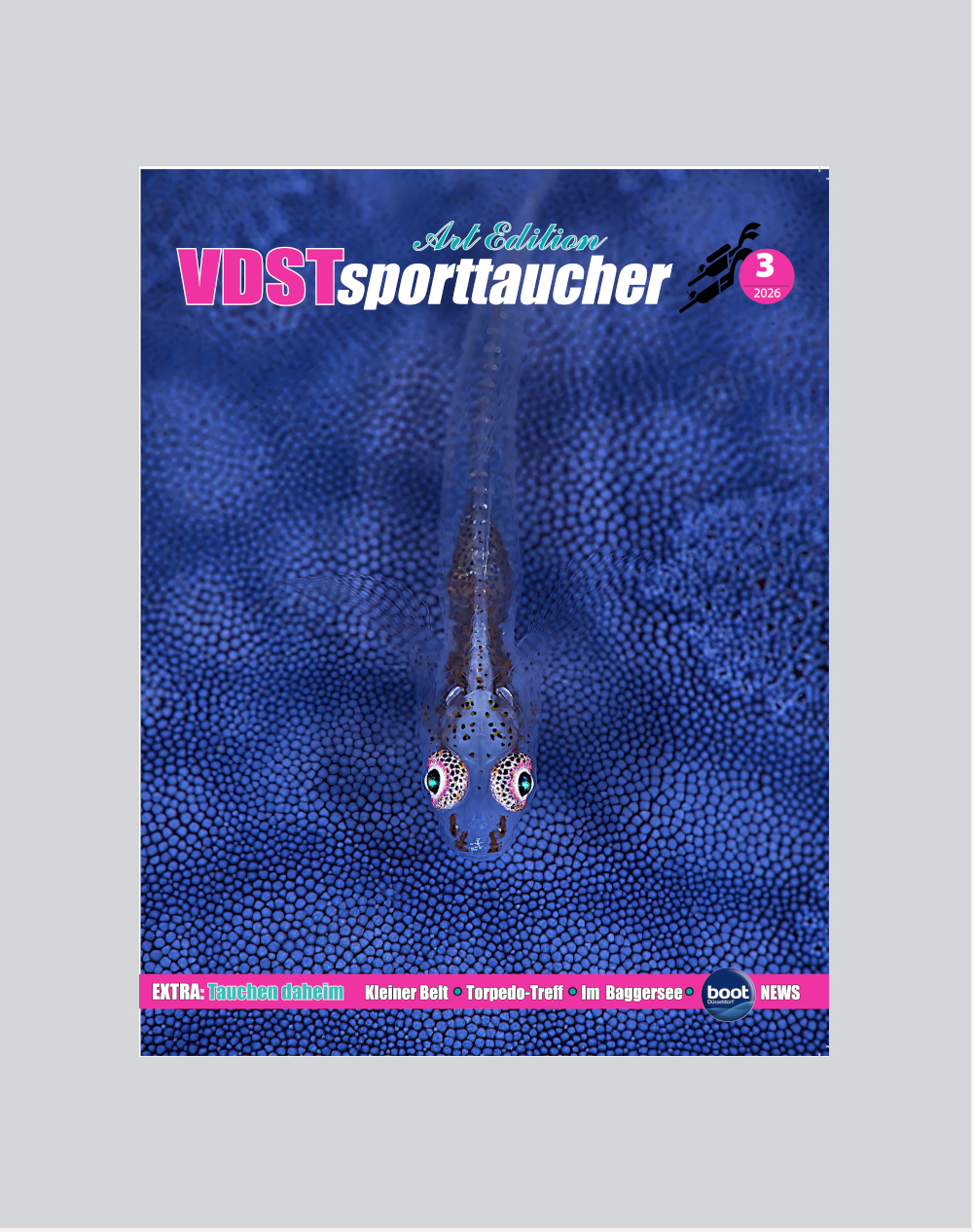 VDSTsporttaucher 2026 - 03